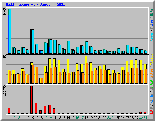 Daily usage for January 2021