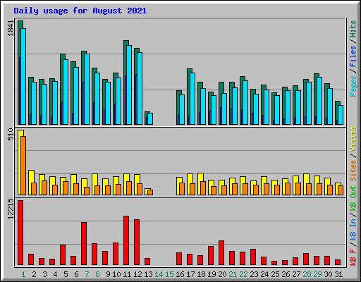 Daily usage for August 2021