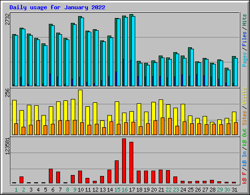 Daily usage for January 2022