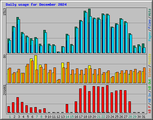 Daily usage for December 2024
