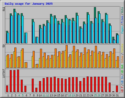 Daily usage for January 2025