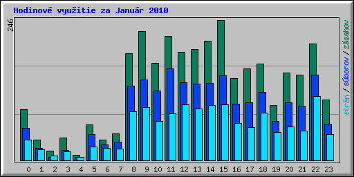 Hodinov� vyu�itie za Janu�r 2010
