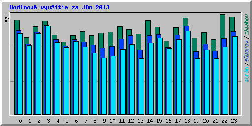 Hodinov� vyu�itie za J�n 2013