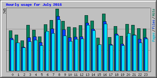 Hourly usage for July 2016