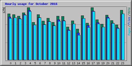 Hourly usage for October 2016
