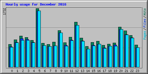 Hourly usage for December 2016