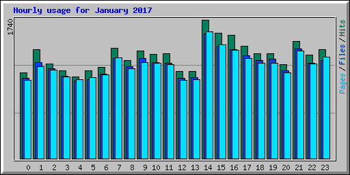 Hourly usage for January 2017