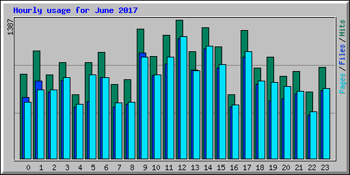 Hourly usage for June 2017