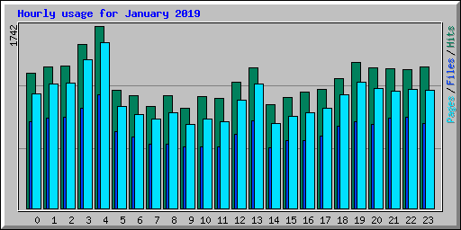 Hourly usage for January 2019