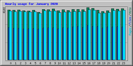 Hourly usage for January 2020