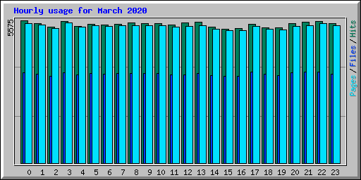 Hourly usage for March 2020