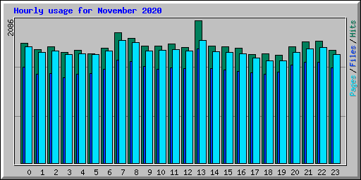 Hourly usage for November 2020