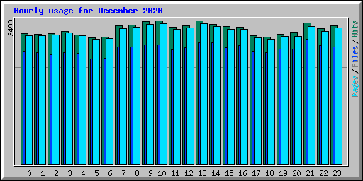 Hourly usage for December 2020