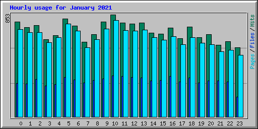 Hourly usage for January 2021