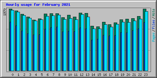 Hourly usage for February 2021