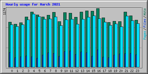 Hourly usage for March 2021