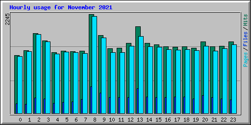 Hourly usage for November 2021