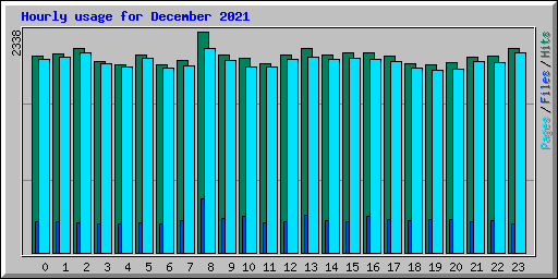 Hourly usage for December 2021