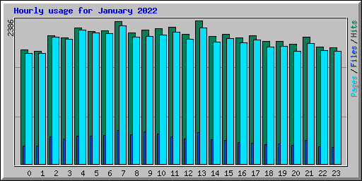Hourly usage for January 2022