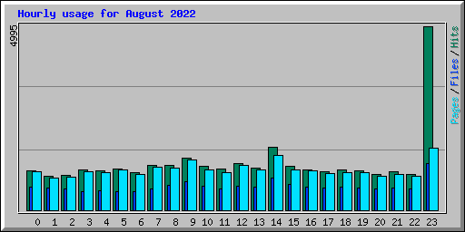 Hourly usage for August 2022