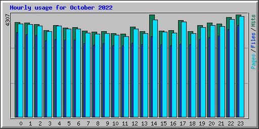 Hourly usage for October 2022
