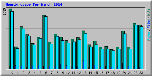 Hourly usage for March 2024