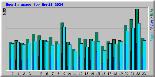 Hourly usage for April 2024