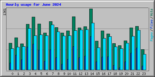 Hourly usage for June 2024