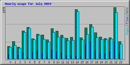 Hourly usage for July 2024