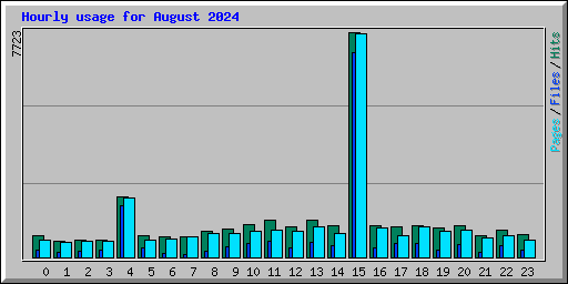 Hourly usage for August 2024