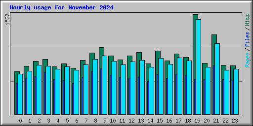 Hourly usage for November 2024