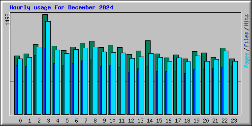 Hourly usage for December 2024