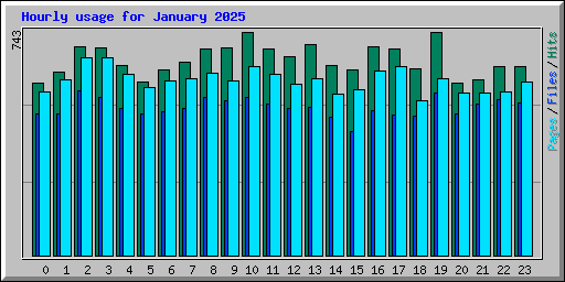 Hourly usage for January 2025