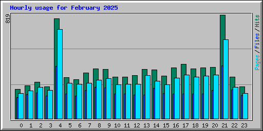 Hourly usage for February 2025