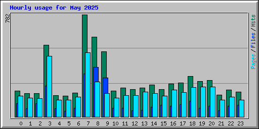 Hourly usage for May 2025