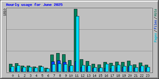 Hourly usage for June 2025