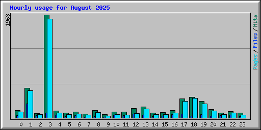 Hourly usage for August 2025