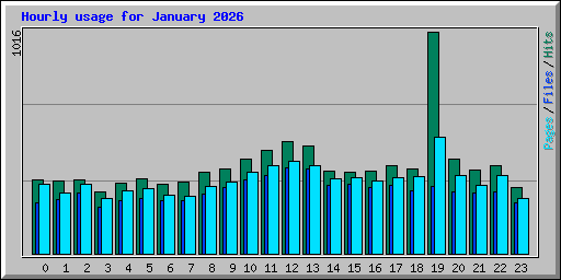 Hourly usage for January 2026