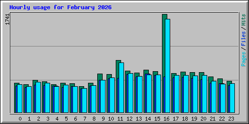 Hourly usage for February 2026